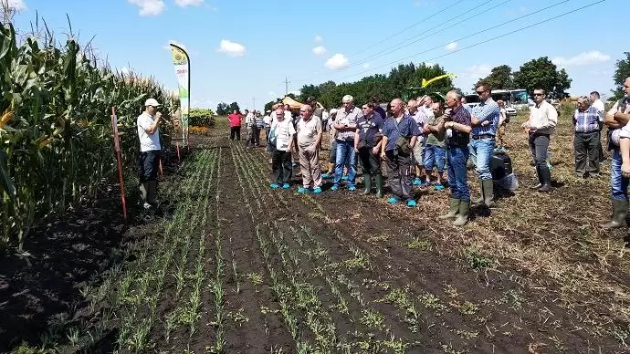 Cél a termésmaximum megtartása