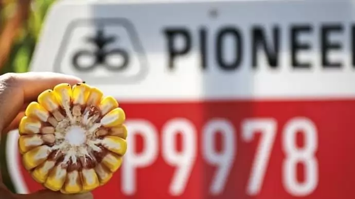 Corteva Agriscience™-portfóliófarmok