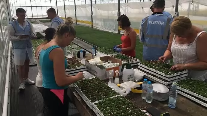 „Legózás” segíthet a kertészeteken