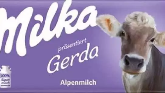 Eltűnik a lila tehén?