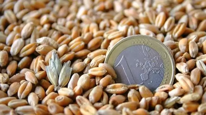 Forradalom zajlik az agráriumban