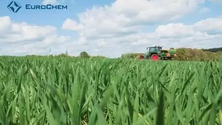 Hatékonyabbá váló növénytáplálás