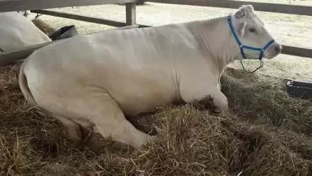 Jövedelemstabilizációs alap létrehozását tervezi az agrártárca a termelők számára