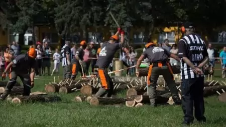 Idén is indul a fakitermelő versenysorozat