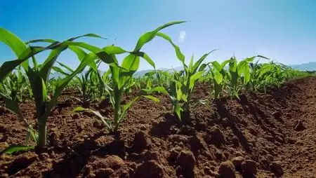 JÓ DÖNTÉS, BIZTOS KEZDET