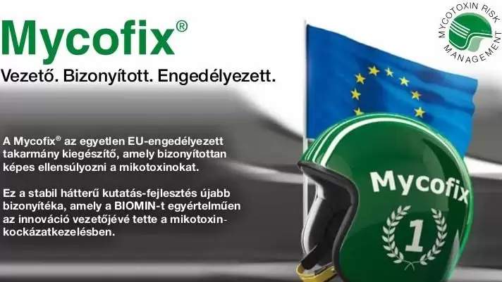 Mikotoxin-kockázatkezelés 