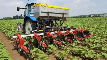 Ha sorközművelő, akkor Quivogne!!