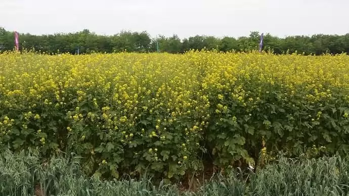 Tájékoztató a veszélyhelyzet miatt bekövetkező fejlesztéspoltikai intézkedésekről