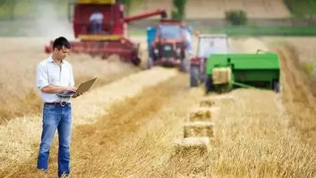 Agrár-felsőoktatás: fogynak a jelentkezők