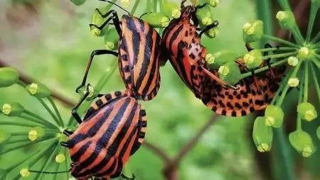 A 2019-es fotópályázat győztesei