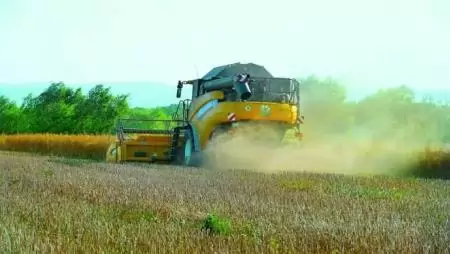 RAPOOL-REPCÉK 2020: CRISTAL