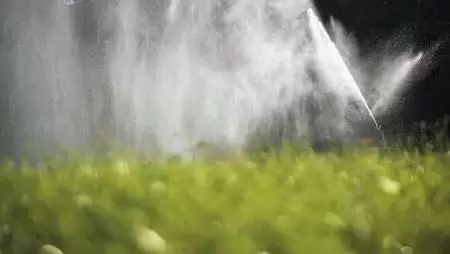 Állandósult a tavaszi aszály