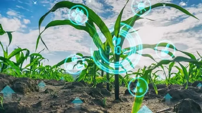 Mezőgazdaság 4.0 – a jelen