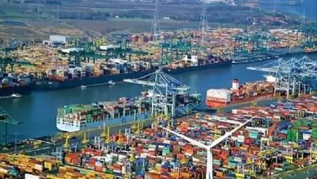 Az antwerpeni kikötő az illegális rovarirtó szerek egyik európai központja