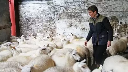 Tovább hanyatlanak az uniós kisgazdaságok