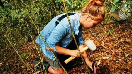 Nem ismerjük eléggé a nanotechnológia környezeti kockázatait