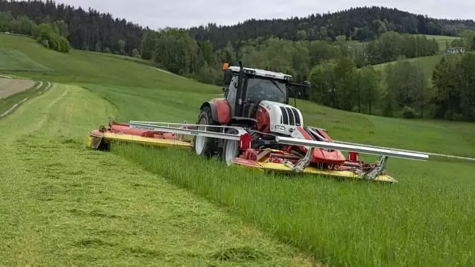 Okos fűkaszával a kolbászmérgezés ellen