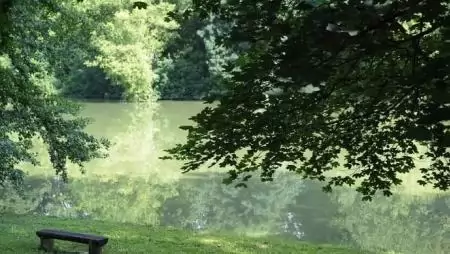 70 millió forinttal támogatja az Agrárminisztérium a zöld civil szervezeteket 