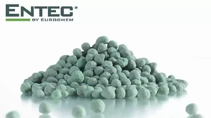 ENTEC® – Őszi búzában is bizonyít