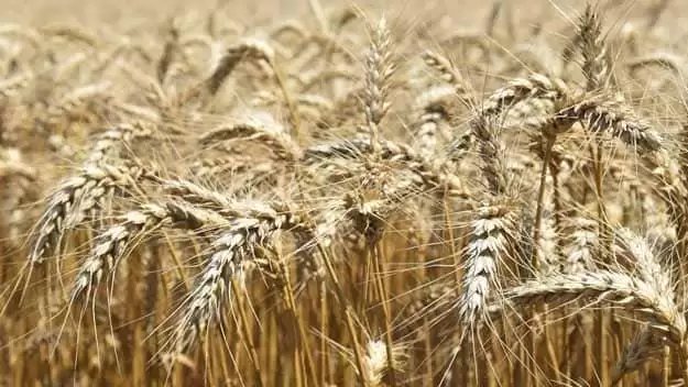 A legfontosabb cél a jövedelmezőség fenntartása