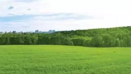 Sokszínű zöldítési modell