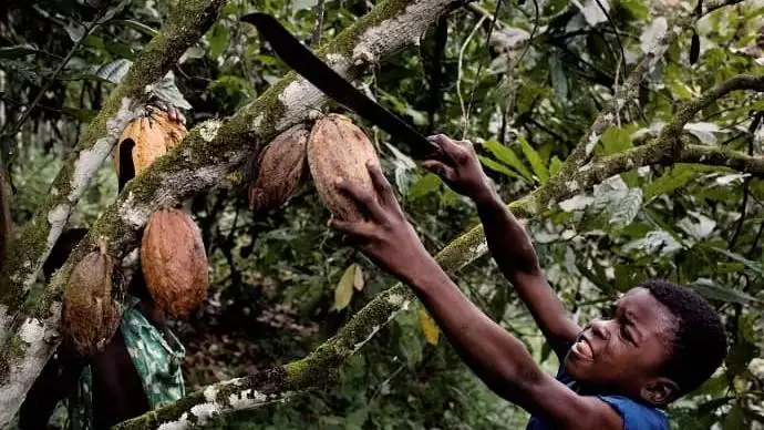 Gyerekmunka: Afrikába még nem érkezett meg a XXI. század