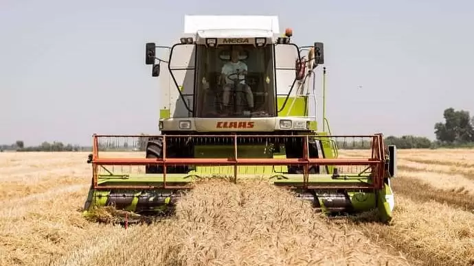 Felemás eredménnyel vannak túl az aratáson Békés megyében