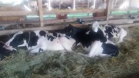 Létrejött a Közös Agrárpolitikáról szóló megállapodás