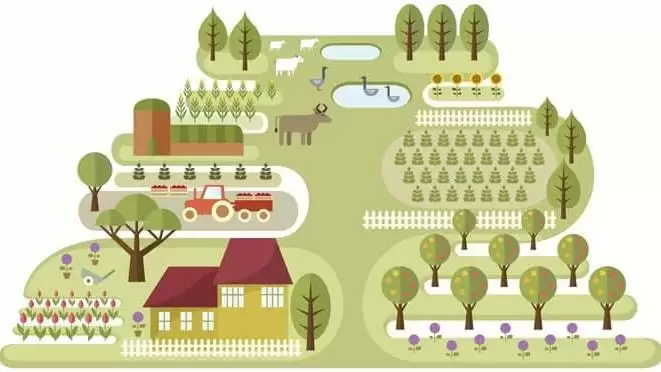 Fix 15 ezer euró a továbblépéshez