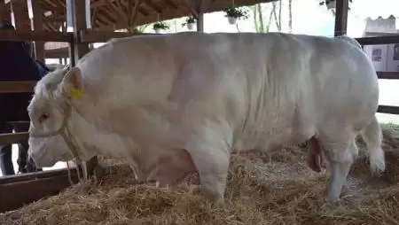 Győzött a józan ész: Két év átmeneti időszak következik a Közös Agrárpolitikában