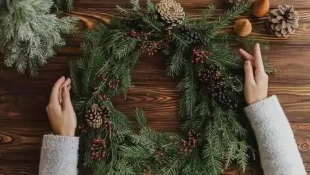 6 + 1 dekoratív növény a kertből – zöld karácsony