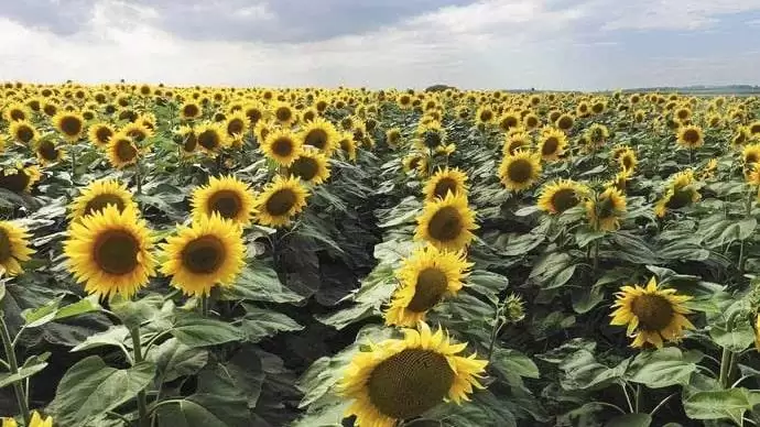 Nagyra törő hozamokra vágyik?