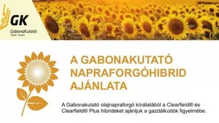 A GABONAKUTATÓ NAPRAFORGÓHIBRID AJÁNLATA