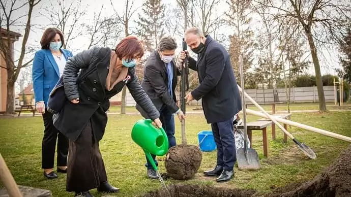Megduplázott keretösszeggel folytatódik a Településfásítási Program