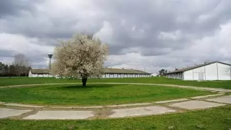 A sertéságazat fontos stratégiai terület