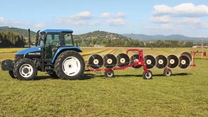 Enorossi, a rendkezelés mestere