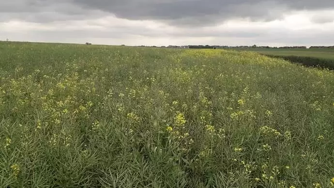 Sikeres szakmai konzultáció az agrártámogatások zöld előírásairól
