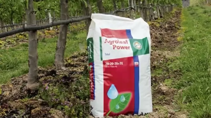 Almatermesztés technológiája ICL-SF termékekkel