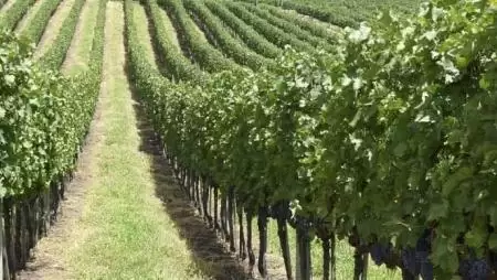 „Aki gyorsan ad, kétszer ad” - Gyors reagálás minden helyzetben