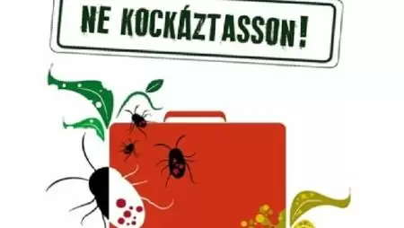 Nyaralásból hazaérkezve is érvényesek a szigorú növényegészségügyi előírások