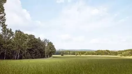 Fenntarthatóvá válhat a mezőgazdaság?