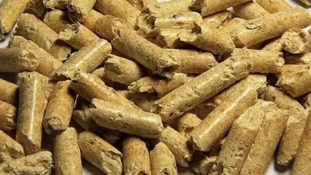 Felértékelődik a biomassza szerepe