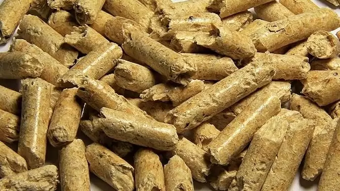 Felértékelődik a biomassza szerepe