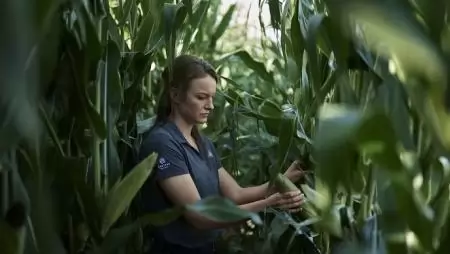 A Corteva Agriscience bővíti az Elemental Enzymes-el kötött megállapodását, hogy innovatív biológiai gombaölő szereket biztosítson a gazdáknak