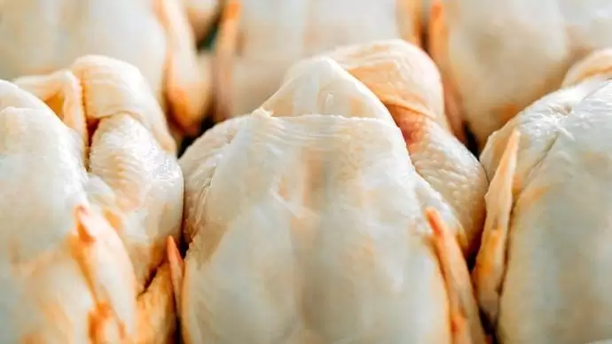 Mélyponton a baromfiágazat  – Az elmúlt időszak három komoly csapása a kisüzemek végét jelentheti