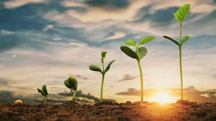 MegaGROW MAX Starter – A célzott tápanyag-utánpótlás