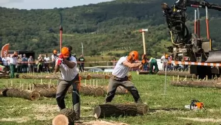 Az ország legjobb fakitermelői Bábolnán küzdenek meg egymással