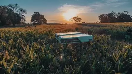 Robot pusztítja a gyomokat