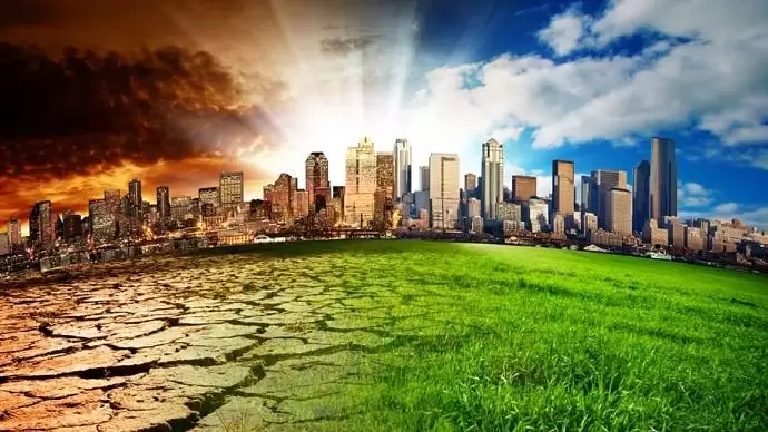 Szép új világ – Alkalmazható-e a genomszerkesztés a klímaváltozás lassítására?