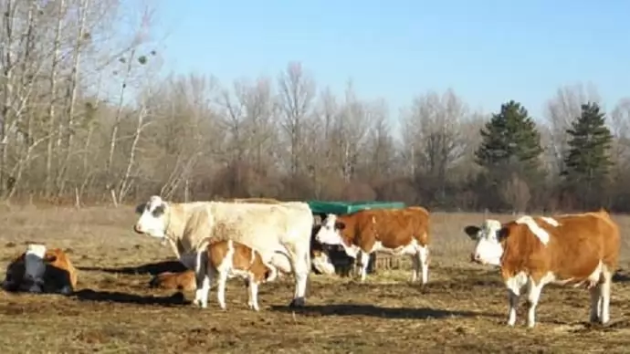 Gazdálkodj okosan, vásárolj helyben! – Összefogással a vidék képes lehet önmaga élelmiszer-ellátására